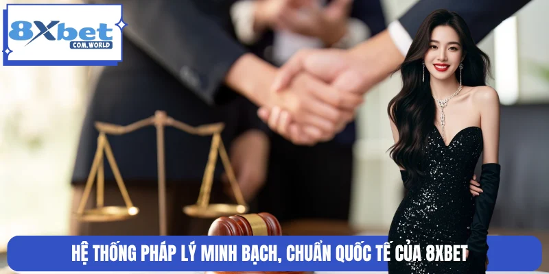Ba bước tra cứu số giấy phép trên đăng ký công khai và đối chiếu tên miền được cấp phép